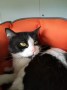 Mona (2)3